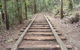 Kerewong State Forest - thumb 1