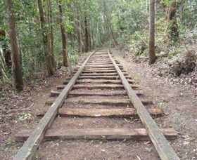 Kerewong State Forest - Accommodation ACT 1