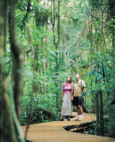 Victoria Park Nature Reserve - Accommodation ACT 1