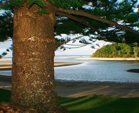 Moonee Beach - Accommodation ACT 1