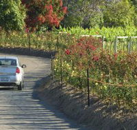 Cassegrain Wines - Accommodation ACT