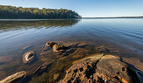 Queens Lake Nature Reserve - Accommodation ACT 0
