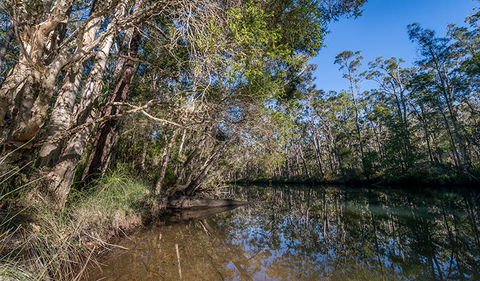 Queens Lake Nature Reserve - Accommodation ACT 3