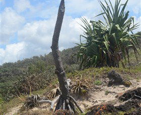 Chinamans Beach Evans Head - Accommodation ACT 2