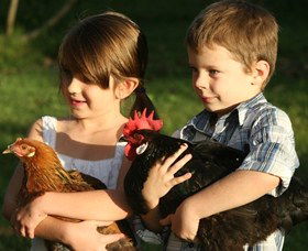 Summerland House Farm - House With No Steps - Accommodation ACT 2