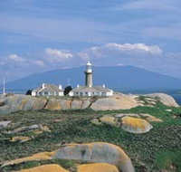 Montague Island Nature Reserve - Accommodation ACT