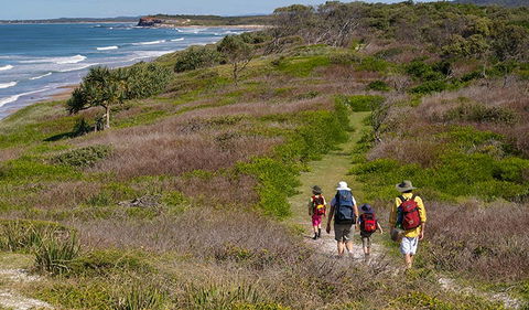 Angourie To Brooms Head - Accommodation ACT 3