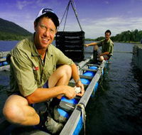 Armstrong Oysters - Accommodation ACT