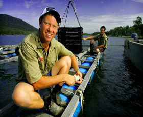 Armstrong Oysters - Accommodation ACT 0