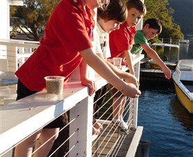 Dunbogan Boatshed - Accommodation ACT 3