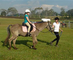 Port Macquarie Horse Riding Centre - Accommodation ACT 0