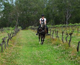 Port Macquarie Horse Riding Centre - Accommodation ACT 1