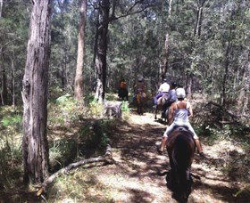 Port Macquarie Horse Riding Centre - Accommodation ACT 4