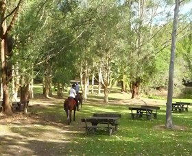 Port Macquarie Horse Riding Centre - Accommodation ACT 6