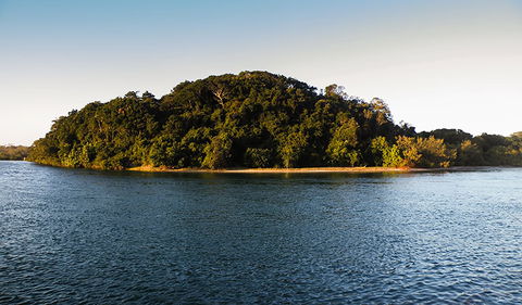 Brunswick Heads Nature Reserve - Accommodation ACT 1
