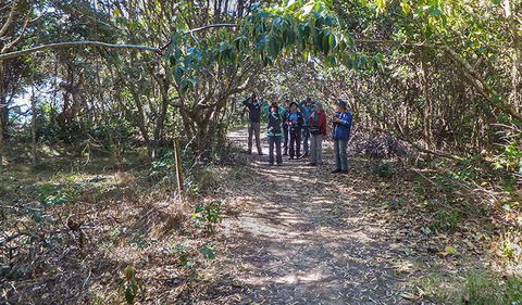 Brunswick Heads Nature Reserve - Accommodation ACT 3