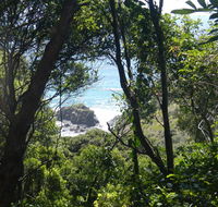 Rainforest walking track - Accommodation ACT