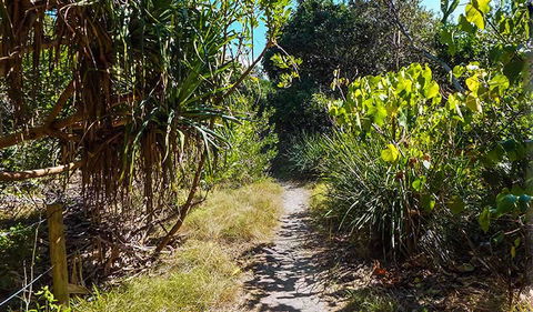 North Head Walking Track - Accommodation ACT 0
