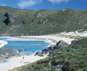 D'Entrecasteaux National Park - Accommodation ACT 0