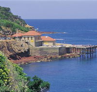 Merimbula Aquarium - Accommodation ACT