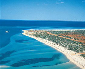 Monkey Mia WA Accommodation ACT