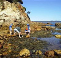 Sapphire Coast Marine Discovery Centre - Accommodation ACT