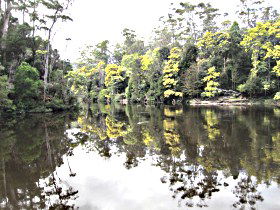 Arthur River TAS Accommodation ACT