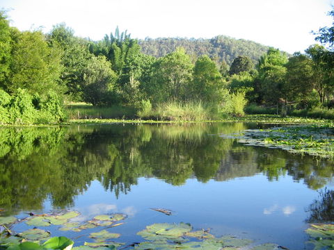 Djanbung Permaculture Gardens - Accommodation ACT 10