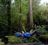 The Tarkine Drive - Accommodation ACT