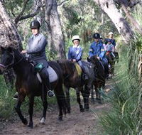 Mirravale Horse Riding School - Accommodation ACT