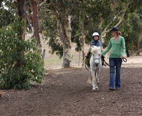 Mirravale Horse Riding School - Accommodation ACT 2