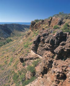 Charles Knife Canyon - Accommodation ACT 1