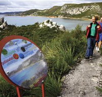 Rocky Cape National Park - Accommodation ACT