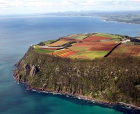 Table Cape - Accommodation ACT 0