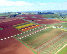 Table Cape - Accommodation ACT 4