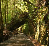 Philosopher Falls - Accommodation ACT