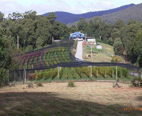 North Motton TAS Accommodation ACT