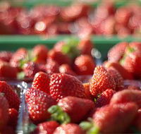Turners Beach Berry Patch - Accommodation ACT