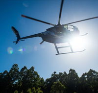 Tall Timbers Adventure Tours - Accommodation ACT