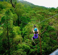 Canyon Flyer - Accommodation ACT