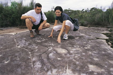 Sydney Coast Walks - Accommodation ACT 4
