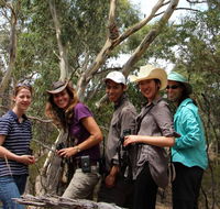 Echidna Walkabout Nature Tours - Accommodation ACT