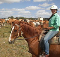 Myella Farm Stay Tours - Accommodation ACT
