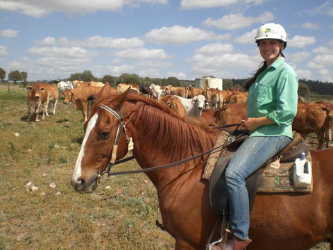 Myella Farm Stay Tours - Accommodation ACT 0