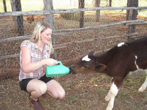 Myella Farm Stay Tours - Accommodation ACT 1