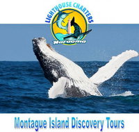 Lighthouse Charters Narooma - Accommodation ACT