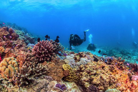Sunreef Mooloolaba - Accommodation ACT 8