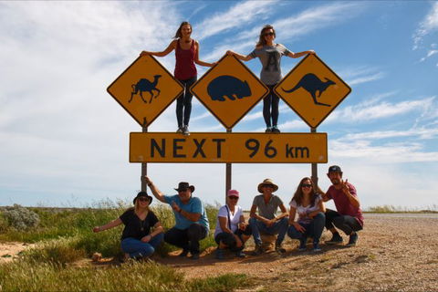 Nullarbor Traveller - Accommodation ACT 4