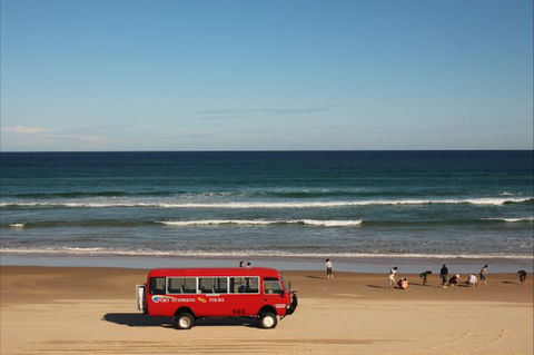 Port Stephens 4WD Tours - Accommodation ACT 9