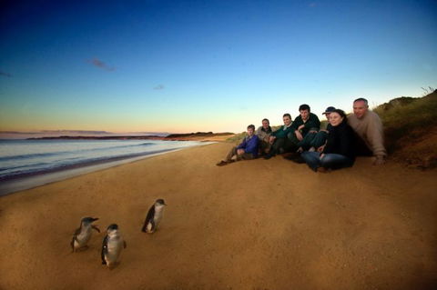 Melbourne Coastal Touring - Accommodation ACT 2